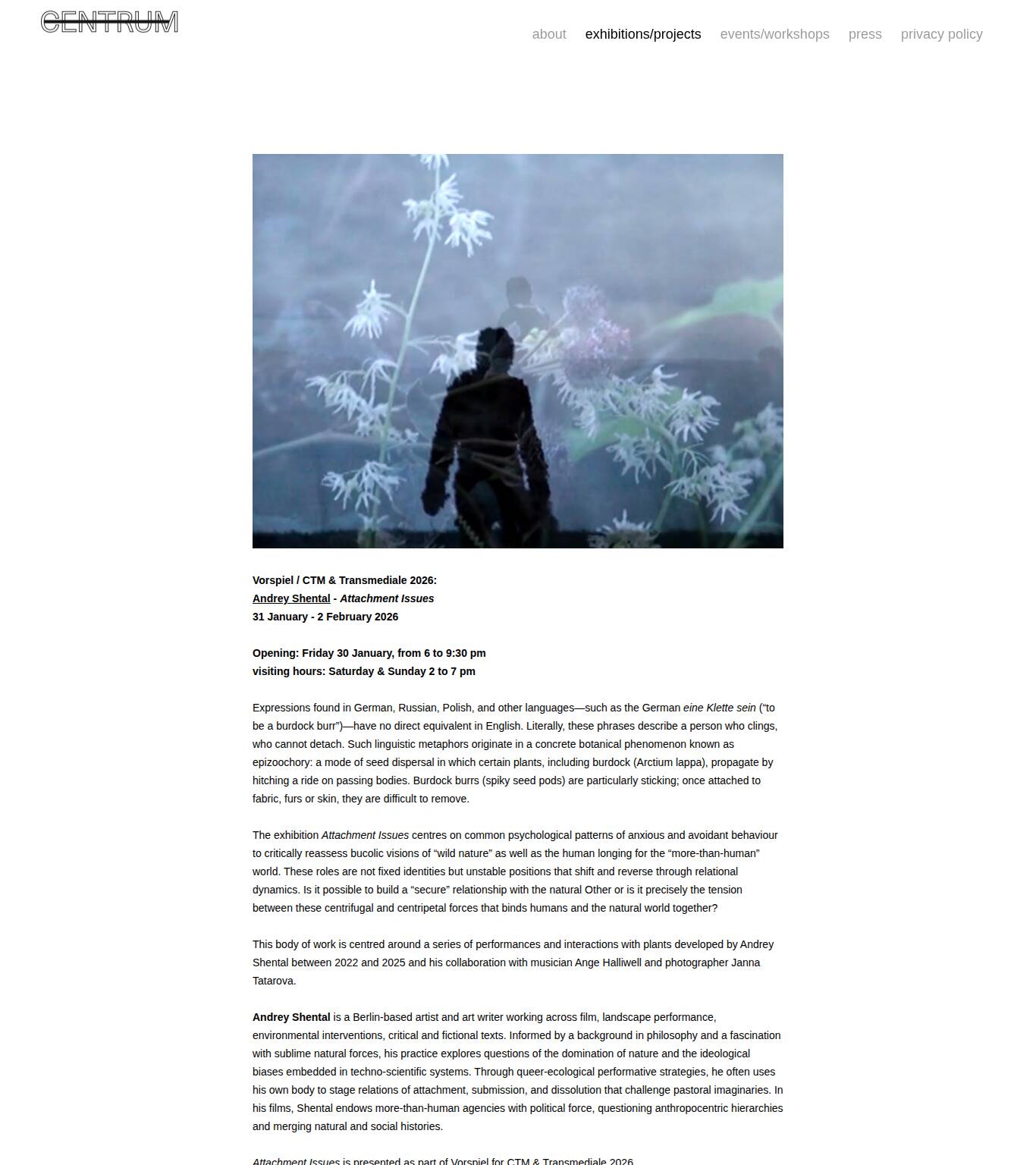 Large screenshot of Centrum